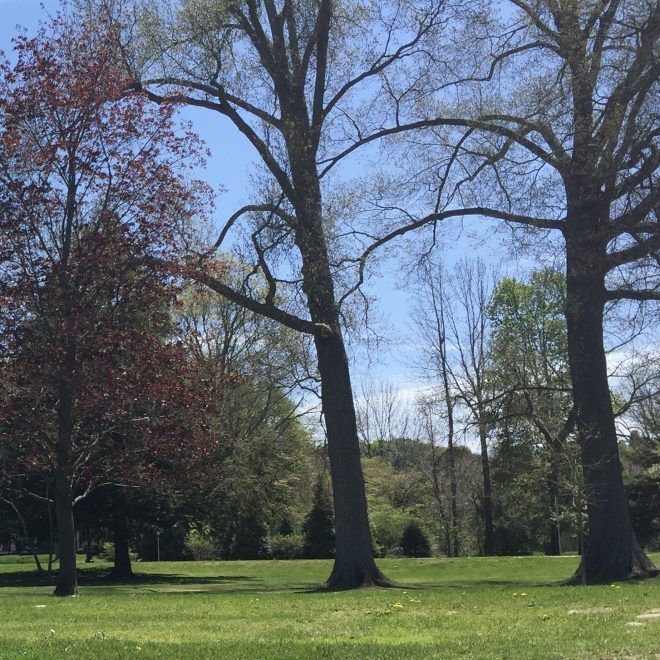 Host a Virtual or Outdoor Meet &&nbsp;Greet